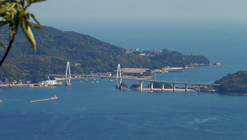 弓削島と佐島を結ぶ弓削大橋が展望できます