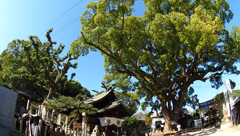 艮神社（うしとらじんじゃ） Ushitora Shrine