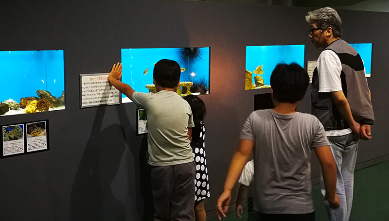 マリンバイオセンターの水族館は、瀬戸内海に生息する生き物たちと接していただけるよう、平成元年7月から無料で公開されています