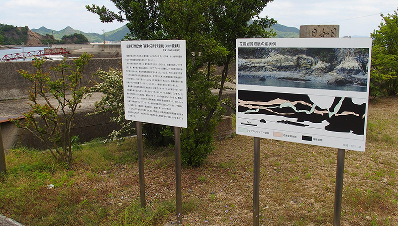 鏡浦の花崗岩質岩脈（かこうがんしつがんみゃく）　広島県天然記念物