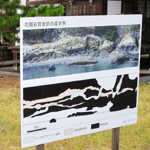 鏡浦の花崗岩質岩脈（かこうがんしつがんみゃく）　広島県天然記念物