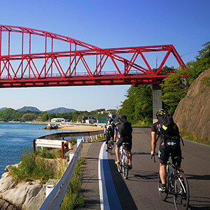 1968年に開通した向島大橋は向島と西側の岩子島を結ぶ渡海農道橋です