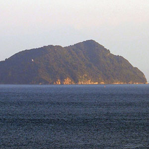 高井神島