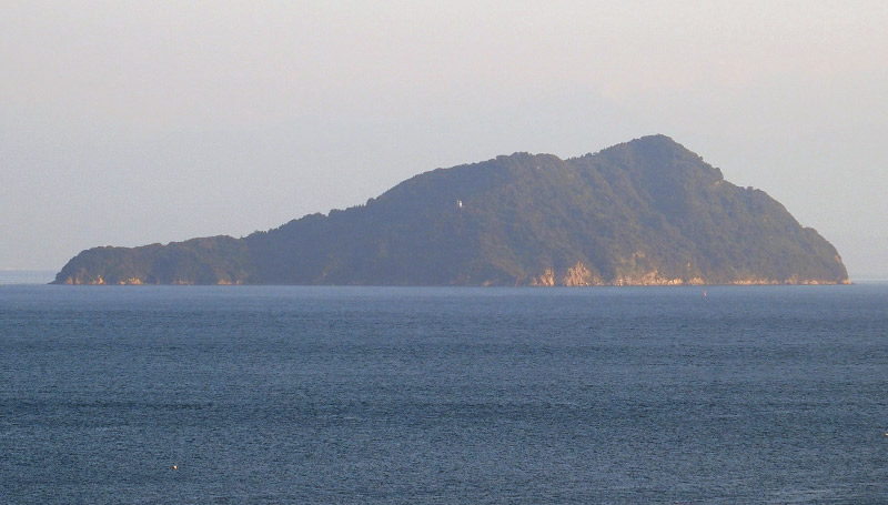 高井神島（たかいかみしま）　愛媛県越智郡上島町魚島