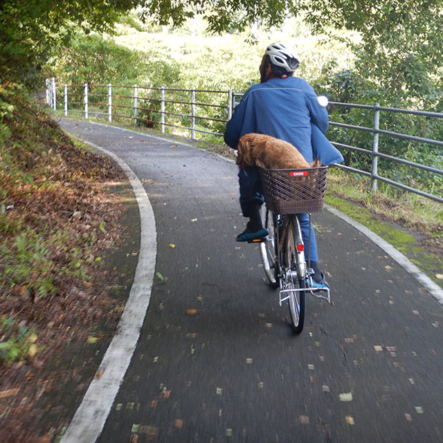 大三島・大山祇神社に向かう峠の自転車コース。犬を乗せた近所のおじさんも。
